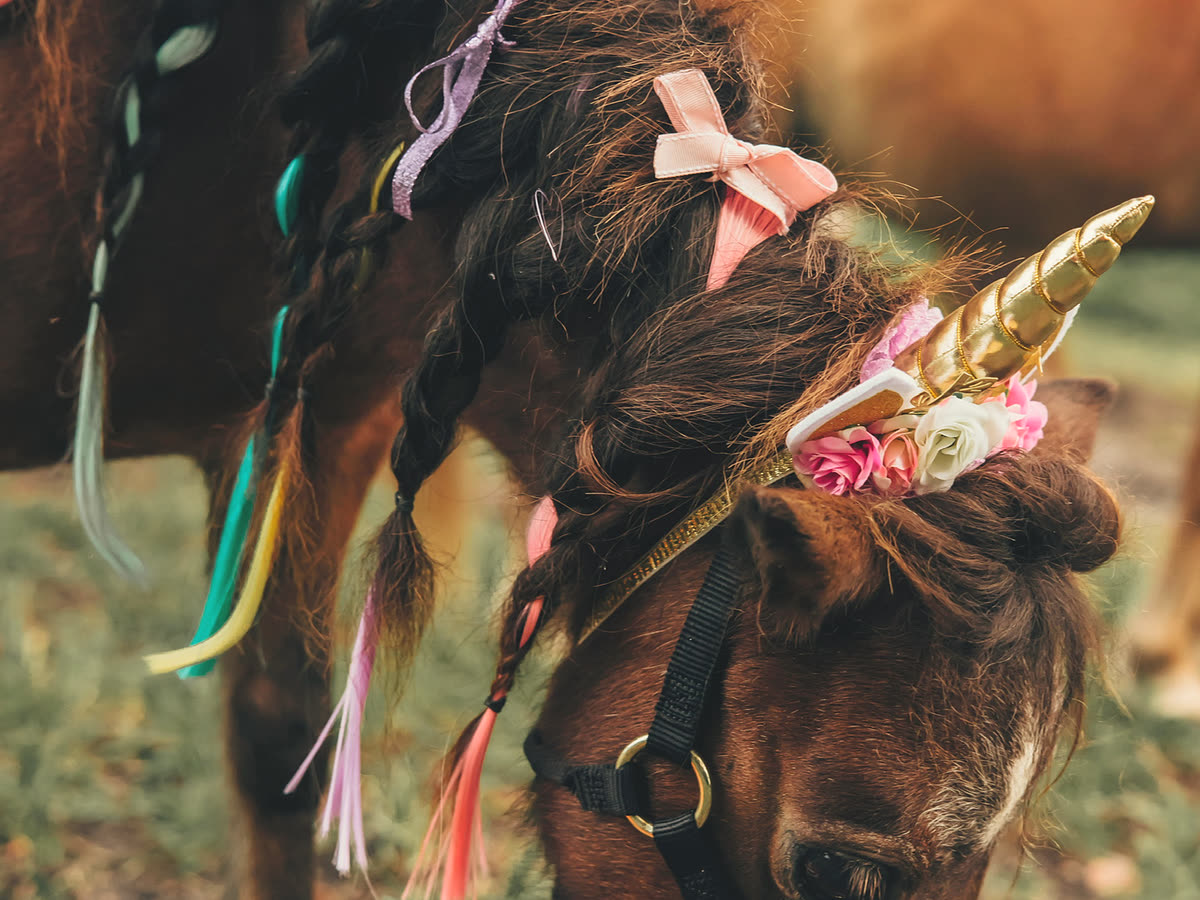 A girl brushing a pony dressed as a unicorn, with a gold horn and pastel ribbons braided into its mane
